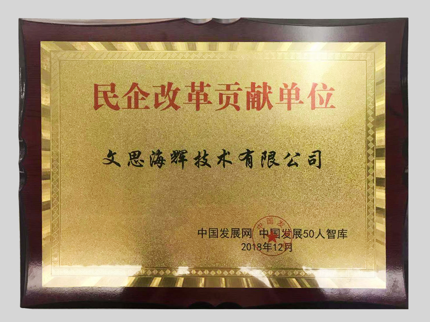 致敬时代，见证伟大 文思海辉获评“民企改革贡献单位”