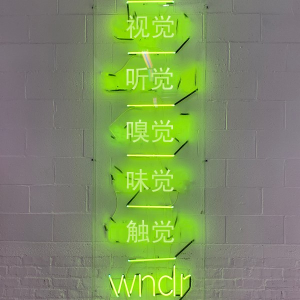 内容与体验融合，引爆沉浸式展览热潮